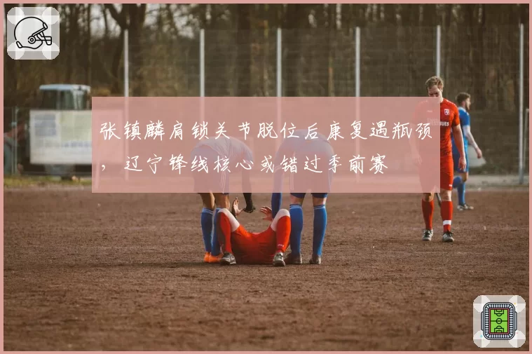 张镇麟肩锁关节脱位后康复遇瓶颈，辽宁锋线核心或错过季前赛