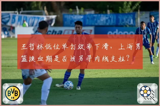王哲林低位单打效率下滑，上海男篮换血期是否该另寻内线支柱？
