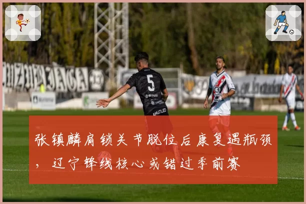 张镇麟肩锁关节脱位后康复遇瓶颈，辽宁锋线核心或错过季前赛